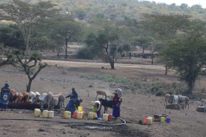 Why Is Uganda Experiencing a Food Crisis?
