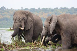 World Tourism Day 2025 Calls for Sustainable Transformation in Uganda