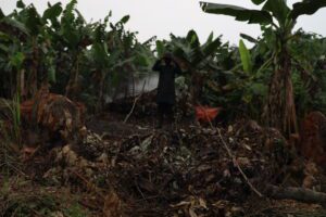 From Harmony to Heartbreak, Humanity’s Betrayal of Nature