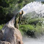 Our cherished way of life in Uganda depends on clean water and our cultural heritage