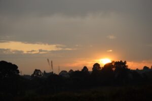 Ten Years of Laudato Si’: Pope Leo XIV Celebrates Its Impact and Calls the World to Renew Its Ecological Mission
