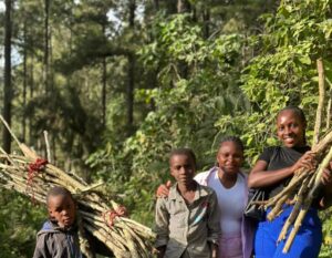 International Biodiversity Day is not just a celebration it is a mobilization