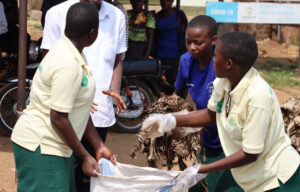 Celebrating 10 Years of Laudato Si’: A Decade of Ecological Conversion and Action