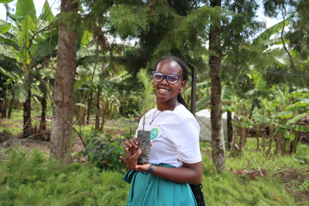visit the site of our favorite tree planting activities