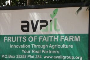 Laudato Youth Initiative Partners with Avail Group: Fruit of Faith Farm to Innovate Through Agriculture