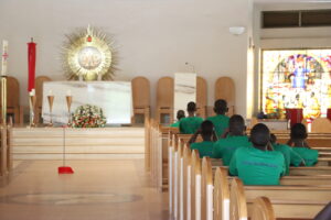 Integral Ecology viewed in Life of St. Adolphus Mukasa Ludigo