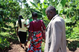 Climate Change is the Leading Cause of Poor Yields in Uganda