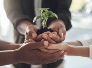 Can Youth Reap from Creating Peace with Creation?