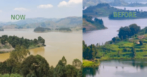 What could Lake Bunyonyi’s dramatic change in water color mean?