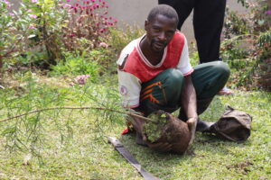 Incentives for Urban and Rural Tree Planting Through Local Councils in Uganda