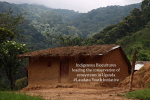 How Communities around Karangura Hills and Mt. Rwenzori Are Driving Conservation and Restoring the Mpanga Watershed