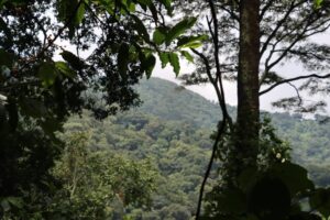 The Impact of Digital Technology on Mental Health