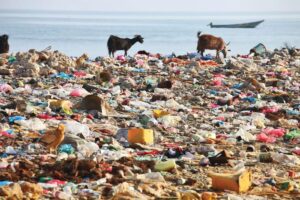 Uganda Needs Strict Enforcement of the Plastic Ban and Wetland Protection Laws