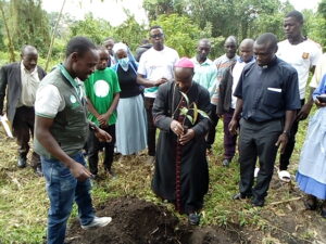 Implementing Catholic Social Teaching through Integral Ecology: Lessons from the Laudato Youth Initiative