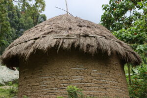 Laudato Youth: Nurturing Indigenous Wisdom for Ecological Hope through Climate Education