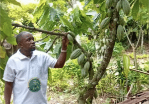 Local Action for Climate Resilience, National Impact: A Testimony from the Laudato Si Club of St. Padre Pio, Nyahuka