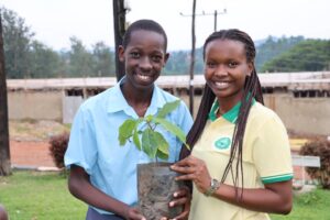 What Must I Do to Create Real Climate Change Impact?