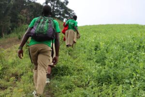 We Are Sowers, Not Saviors