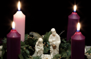 Caring for Creation: An Advent Reflection with Laudato Si’