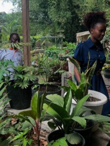 Inspired by Fruits of Faith Farm: A Model for Youth and Sustainable Agriculture