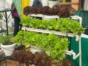 Harvest Money Expo at Kololo Airstrip, defining the future of Sustainable Agriculture in Uganda