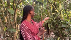 Nurturing A Holistic Approach to Mental Health Among Youth