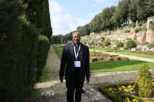 Pope Leo XIV Appoints New Consultors to the Dicastery