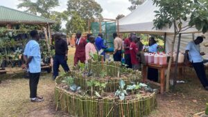 Laudato Youth Initiative Leaders Join Bethany Land Institute Family Day, Strengthening Laudato Si’ Clubs Mentorship with BLI in Luweero