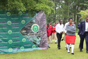 Laudato Youth Initiative held its first Laudato Si’ Green Festival in Fort Portal Catholic Diocese, calling on young people to take practical steps to protect the environment.